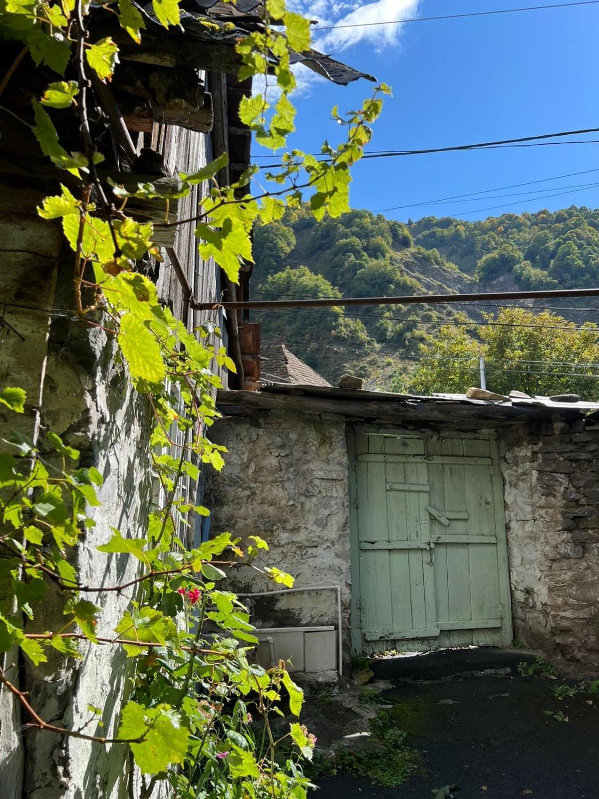 Guesthouse Ilisu Qax Exterior photo
